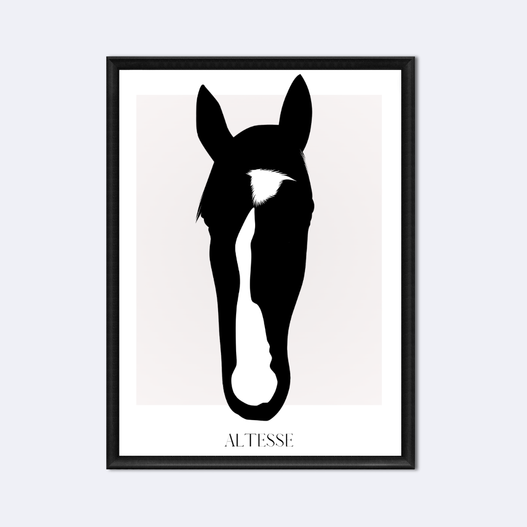 Silhouette
