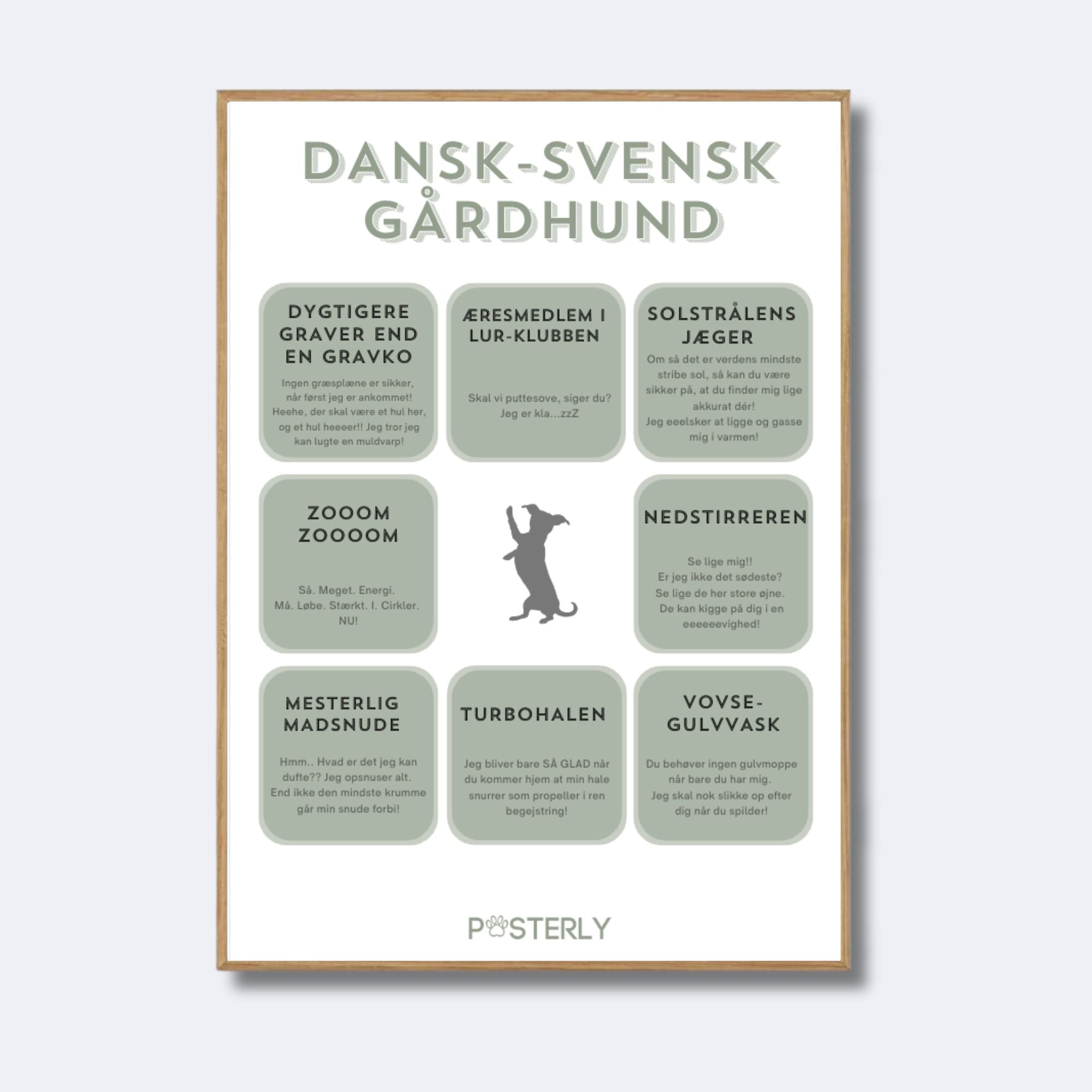 Dansk Svensk Gårdhund karakteristika-plakat