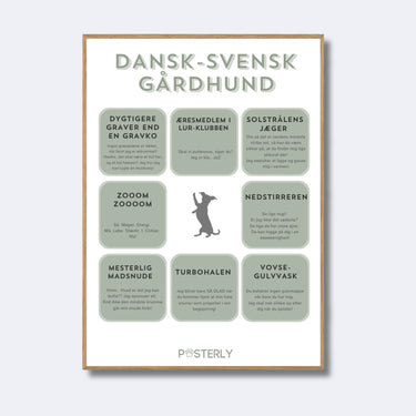 Dansk Svensk Gårdhund