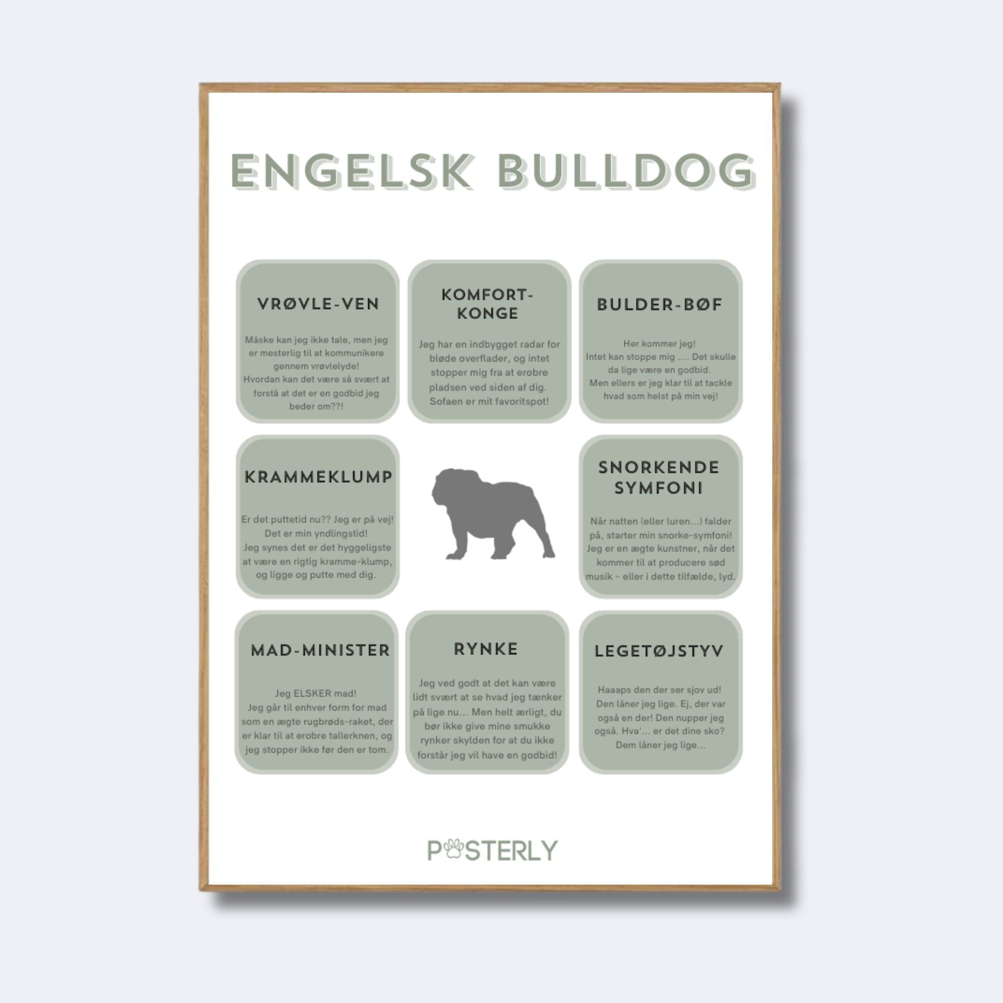 Engelsk Bulldog karakteristika-plakat