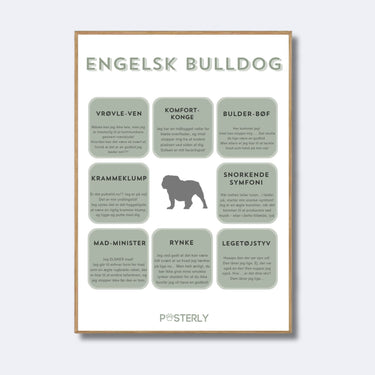 Engelsk Bulldog