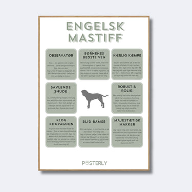 Engelsk Mastiff