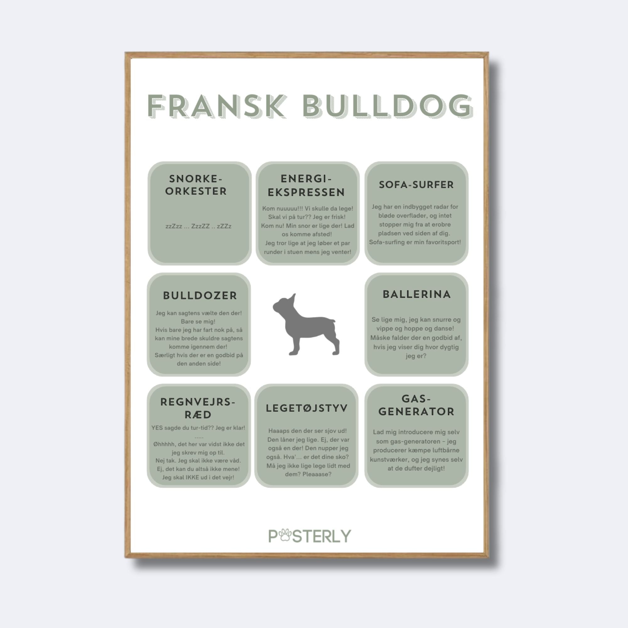 Fransk Bulldog karakteristika-plakat