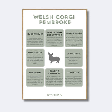 Welsh Corgi Pembroke