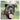 Portræt af Cane Corso med eksempler fra Posterlys hunderace plakat på