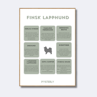 Finsk Lapphund