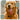 Golden Retriever personlighed hunde race plakat