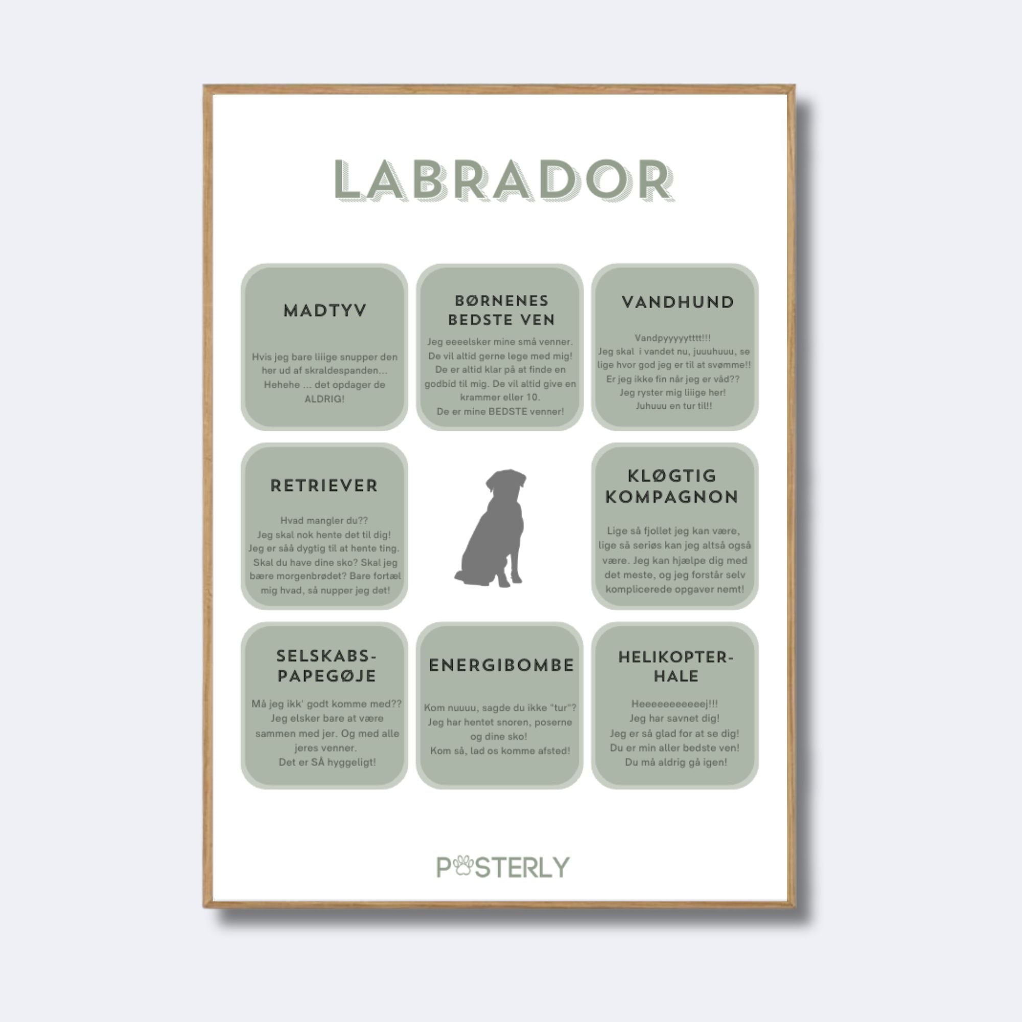 Labrador karakteristika-plakat