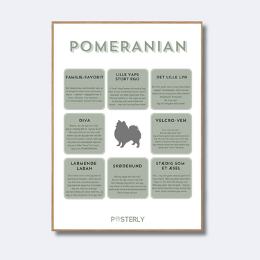 Pomeranian